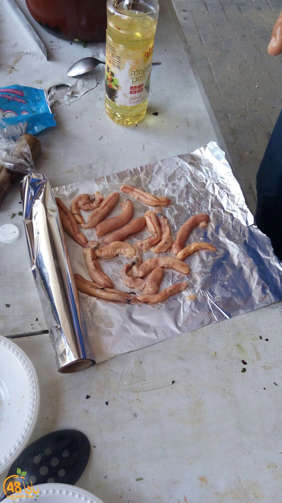 robenerejq (27).jpeg